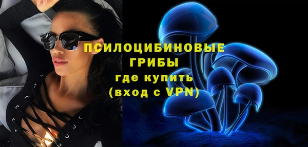 хмурый Богородск