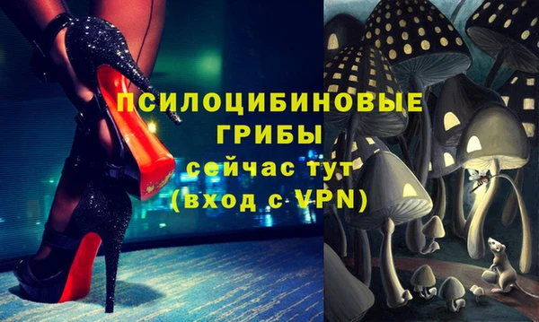 хмурый Богородск