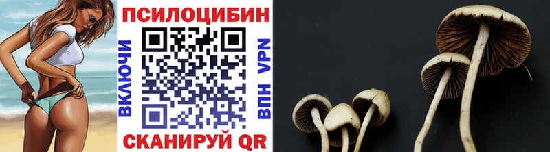 Псилоцибиновые грибы Psilocybine cubensis  цены наркотик  Донской 